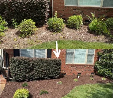 mulching b/a