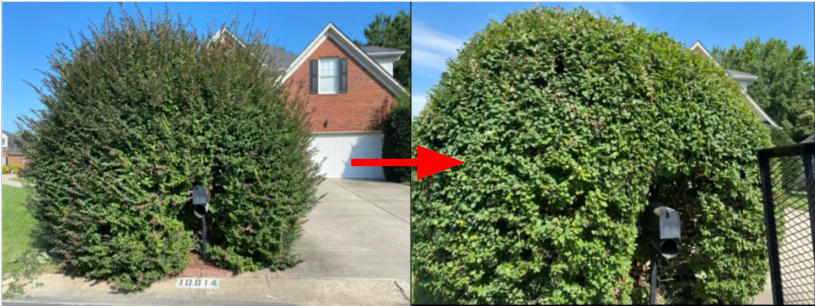 Trimming work example